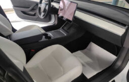 
										TESLA MODEL 3 AWD PERFORMANCE KM0 completo									