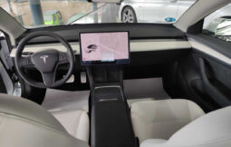 
										TESLA MODEL 3 AWD PERFORMANCE KM0 completo									