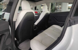 
										TESLA MODEL 3 AWD PERFORMANCE KM0 completo									